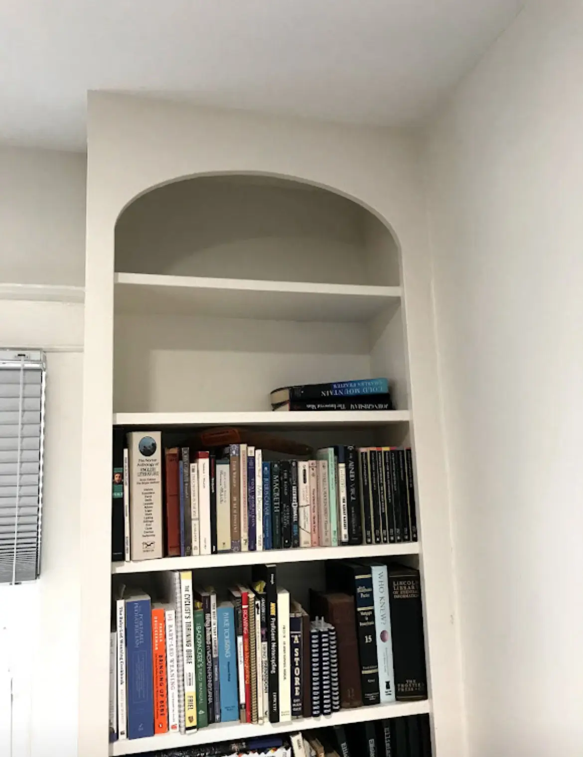 gas fireplace and bookshelf